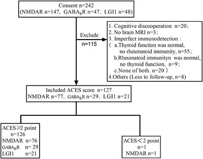 Clinical Features and Early Recognition of 242 Cases of Autoimmune Encephalitis